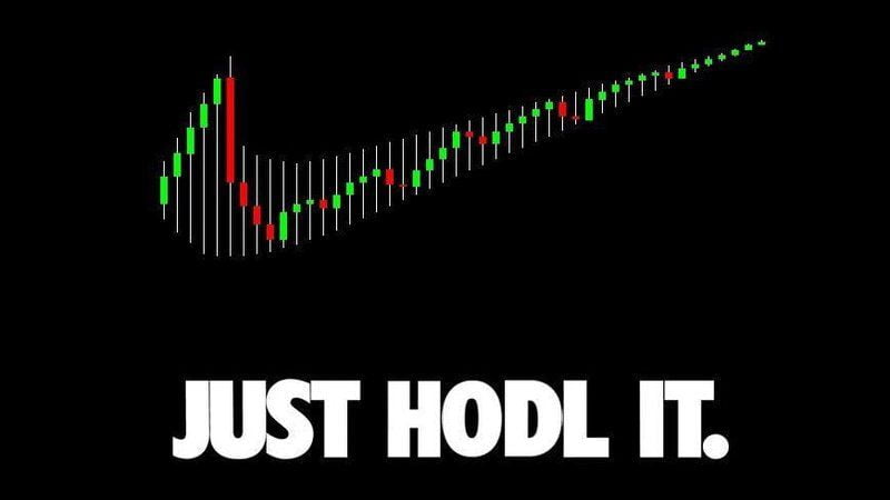 Perfect Time To Hodl