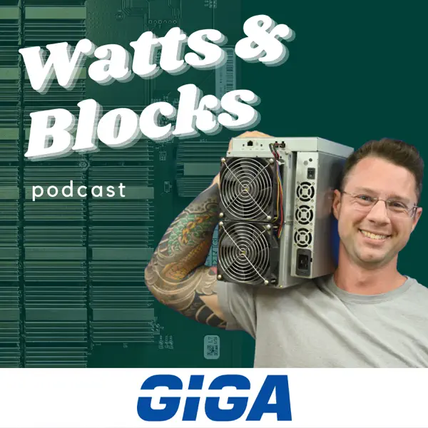 Watts & Blocks